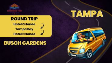 [TAMPA BAY/ORLANDO] Transfer Round Trip Hotel/Busch Gardens/Hotel 